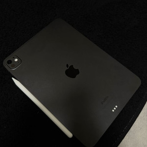 아이패드 프로 11 m4 256 + 애플펜슬프로