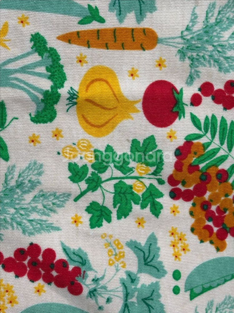 던스 야채긴팔--1