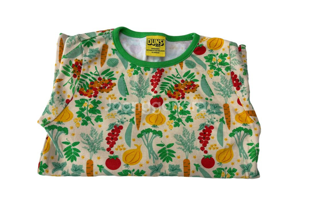 던스 야채긴팔--0