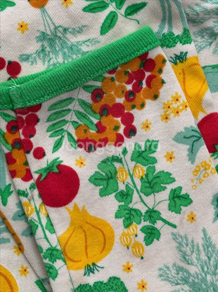 던스 야채긴팔--2