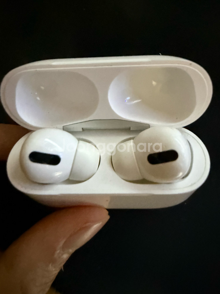 애플 에어팟 프로 1세대--1