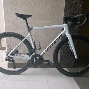 메리다스컬트라6000