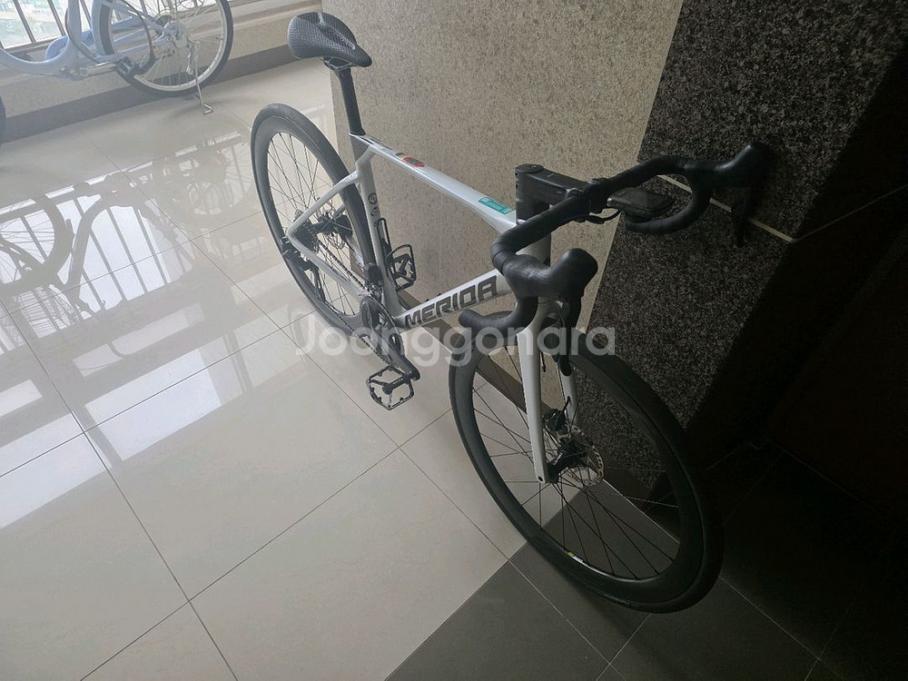 메리다스컬트라6000--2