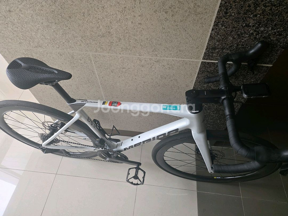 메리다스컬트라6000--1