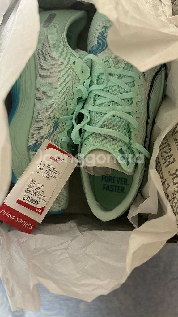 디비에이트 나이트로 엘리트3 270 디나엘3--0