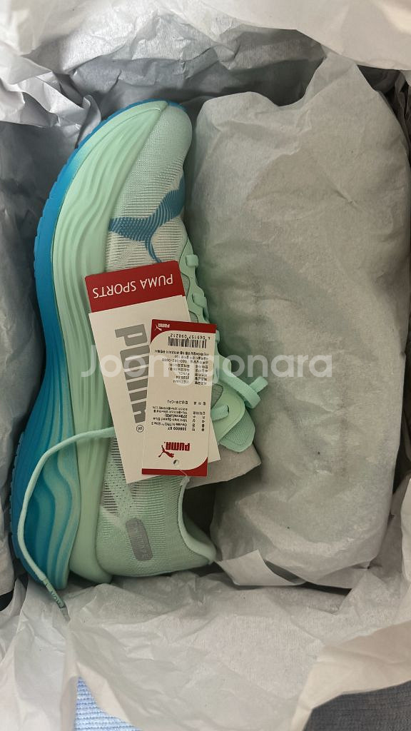 디비에이트 나이트로 엘리트3 270 디나엘3--1