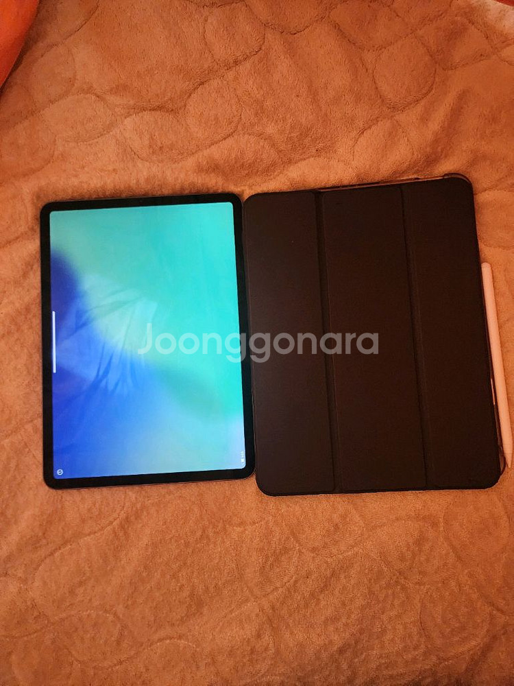 아이패드 프로11 1세대 256기가 판매합니다.--0