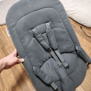 부가부 지라프 뉴본