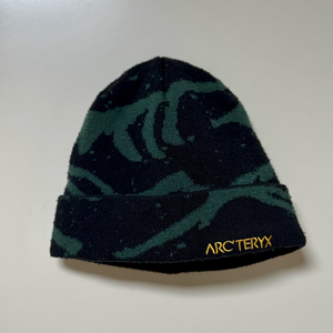 아크테릭스 그로토 토크 비니 그린