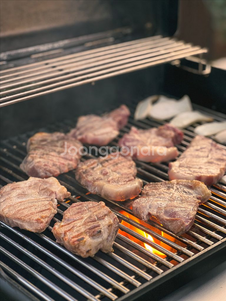 웨버 스피릿 가스그릴 (SP-335)--8