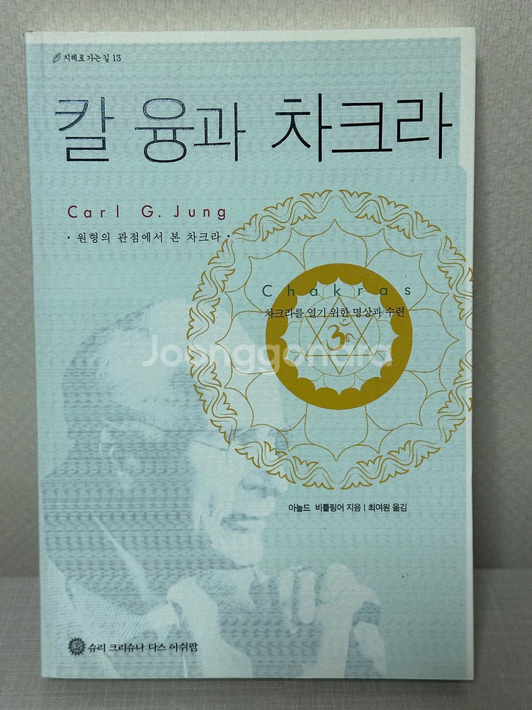 칼 융과 차크라 - 아놀드 비틀링어--0