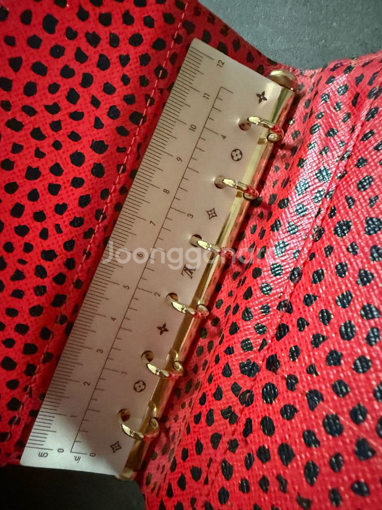 루이비통 다이어리--2