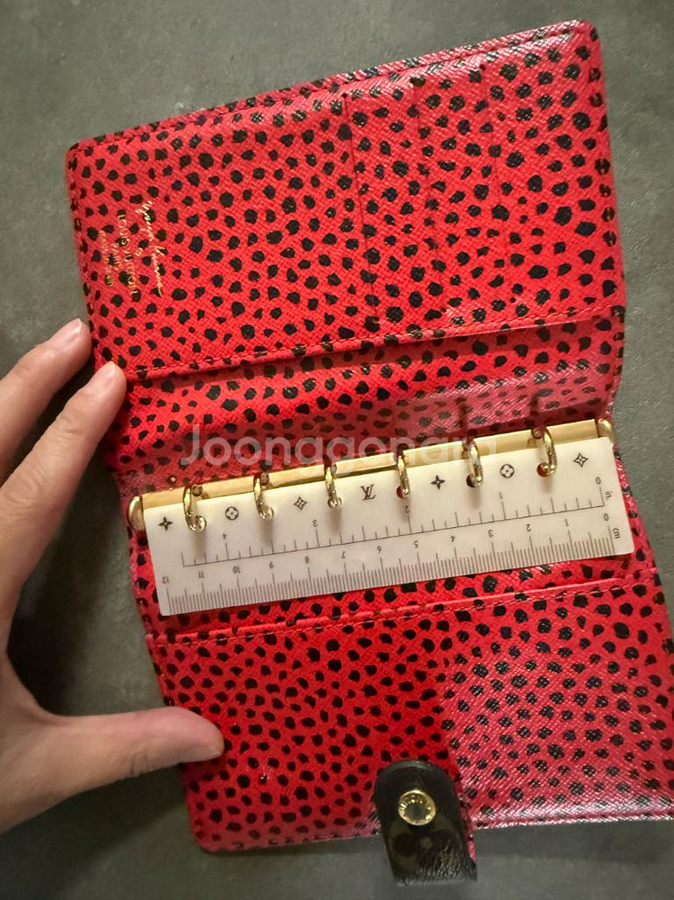 루이비통 다이어리--3