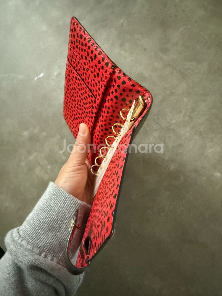 루이비통 다이어리--4