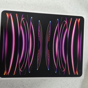 아이패드 프로 12.9 256GB 셀룰러