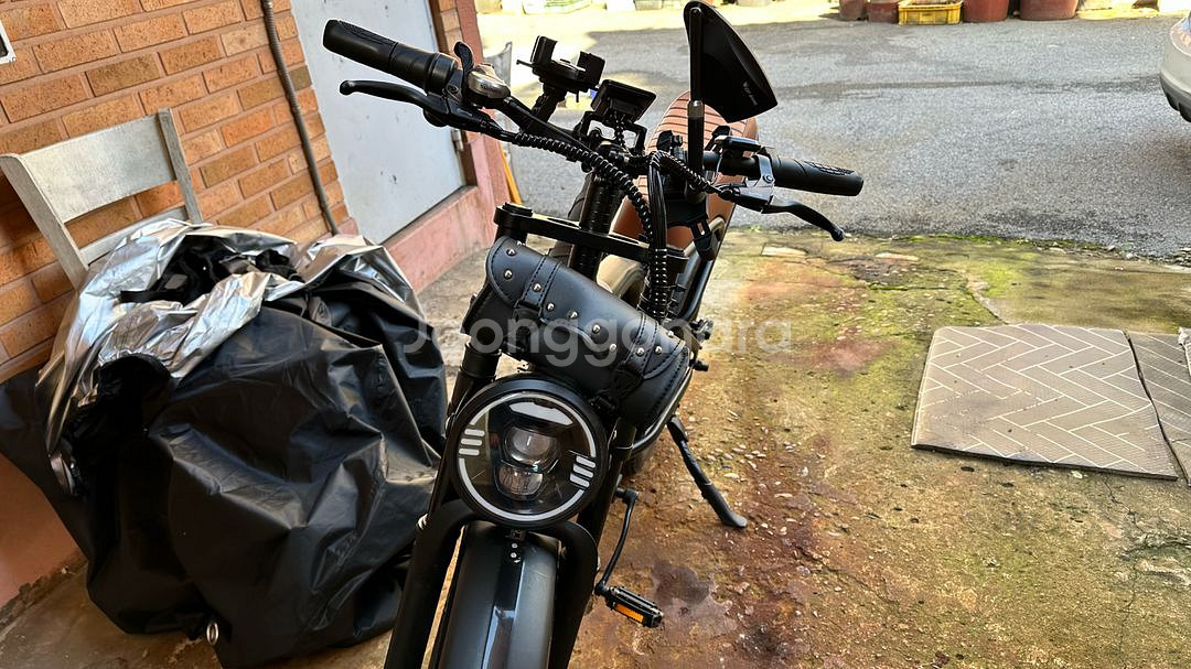 BS슬릭 자토바이 이지베이션 배달 및 일상용 전기자전거--3