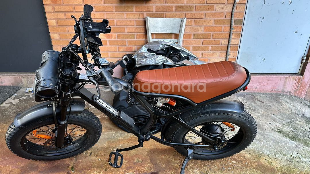 BS슬릭 자토바이 이지베이션 배달 및 일상용 전기자전거--5