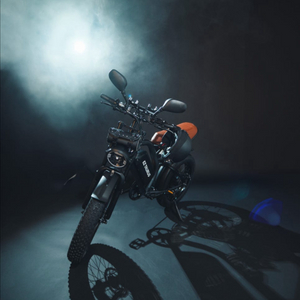 BS슬릭 자토바이 이지베이션 배달 및 일상용 전기자전거