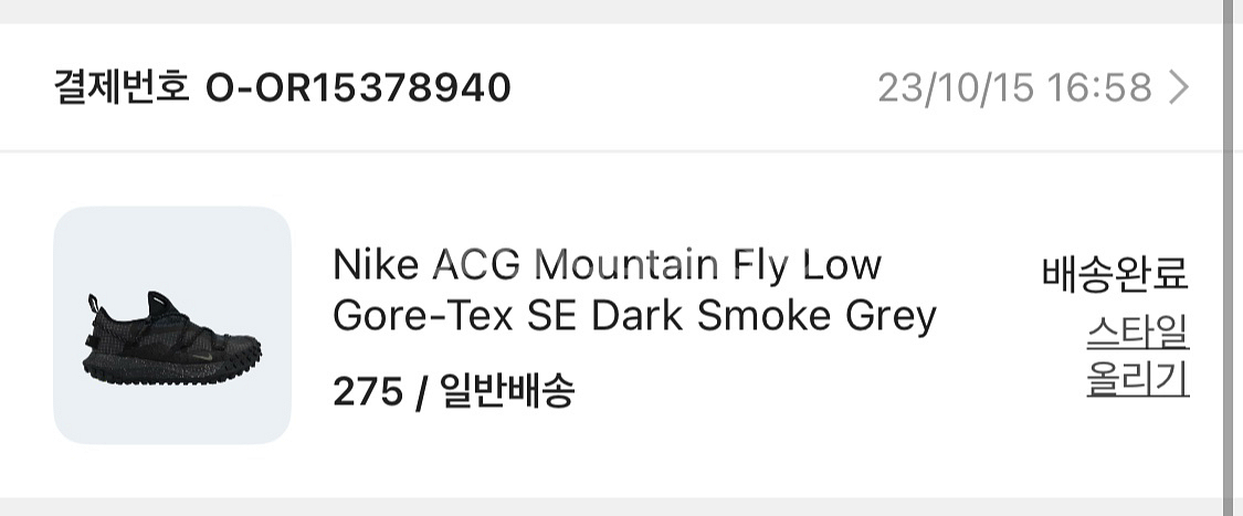 나이키 ACG 마운틴 플라이 로우 고어텍스--0