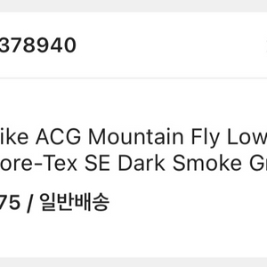 나이키 ACG 마운틴 플라이 로우 고어텍스