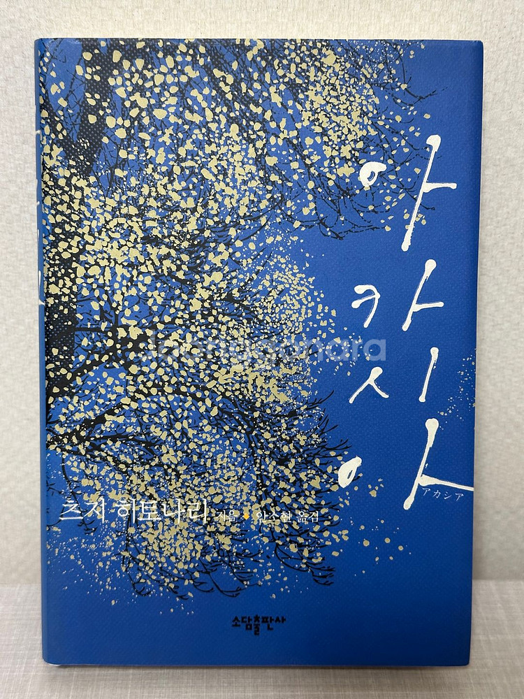 아카시아 - 츠지 히토나리--0