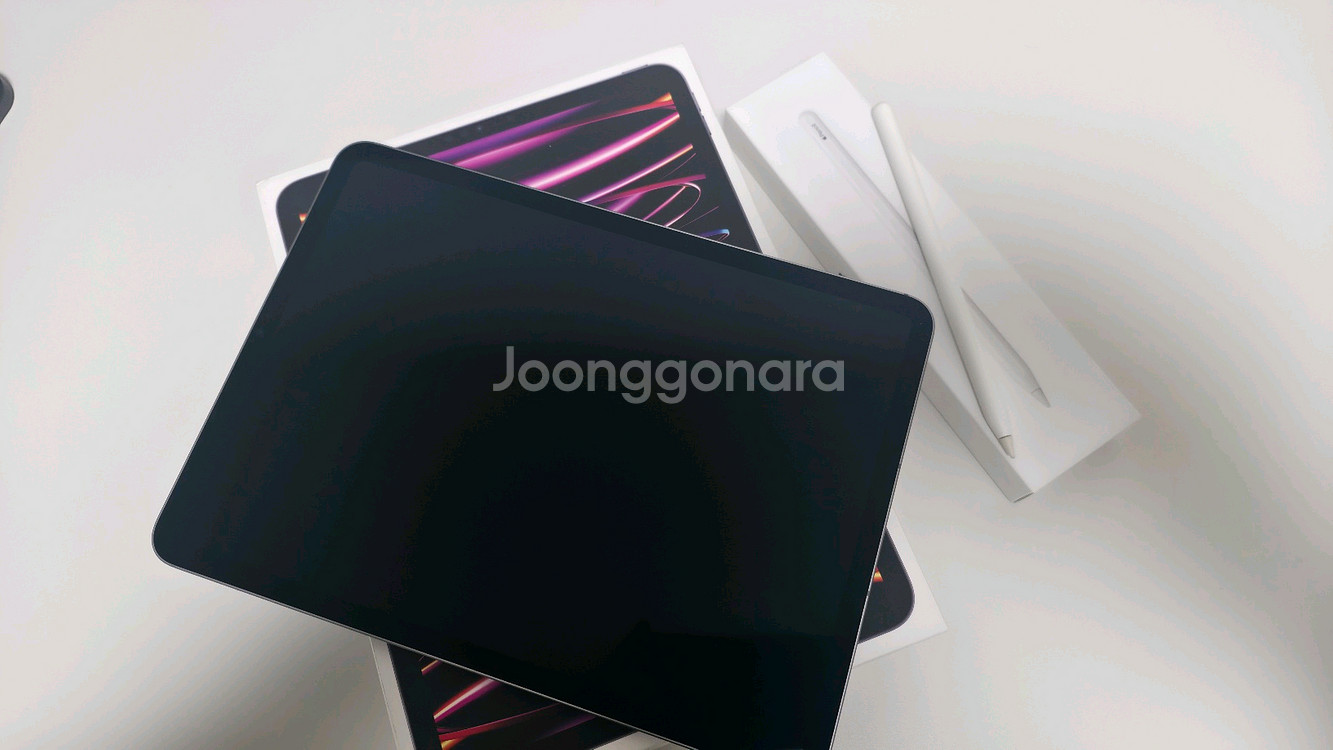 아이패드프로 11인치 m2 셀룰러 + 애플펜슬--0
