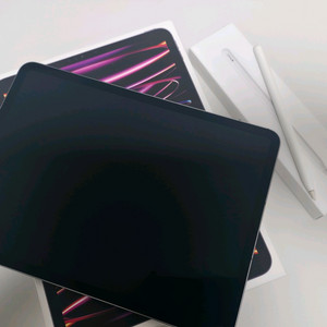 아이패드프로 11인치 m2 셀룰러 + 애플펜슬