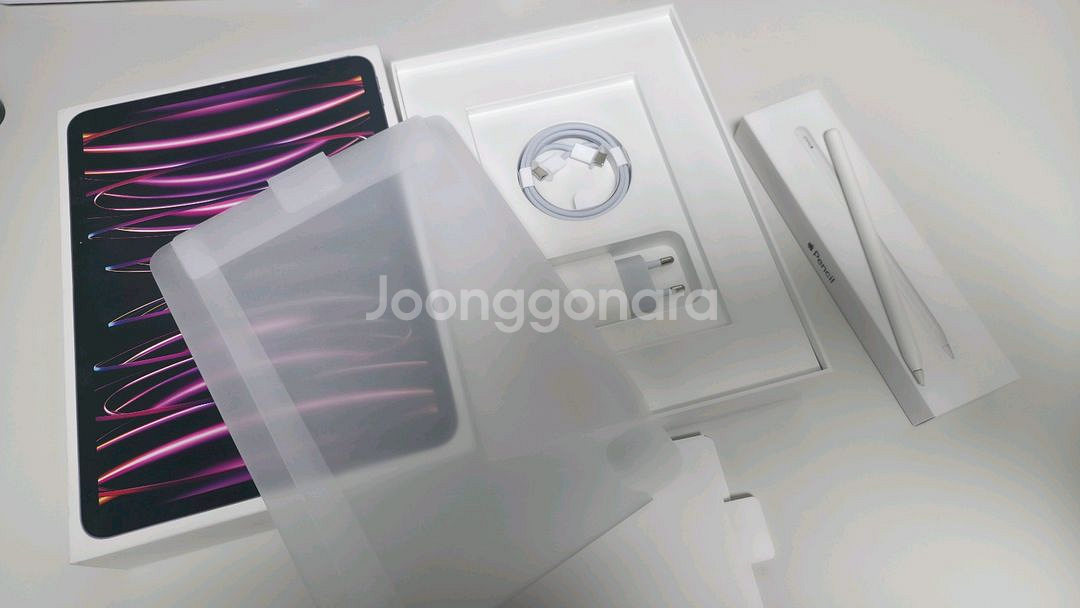 아이패드프로 11인치 m2 셀룰러 + 애플펜슬--1