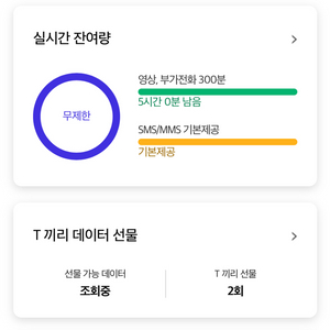 sk 데이터 2기가
