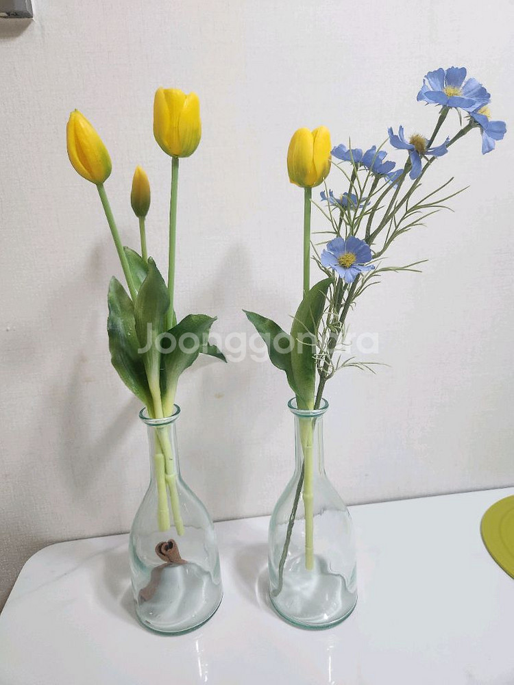 아람 베이비올 수과학 음원 구합니ㄷ--0