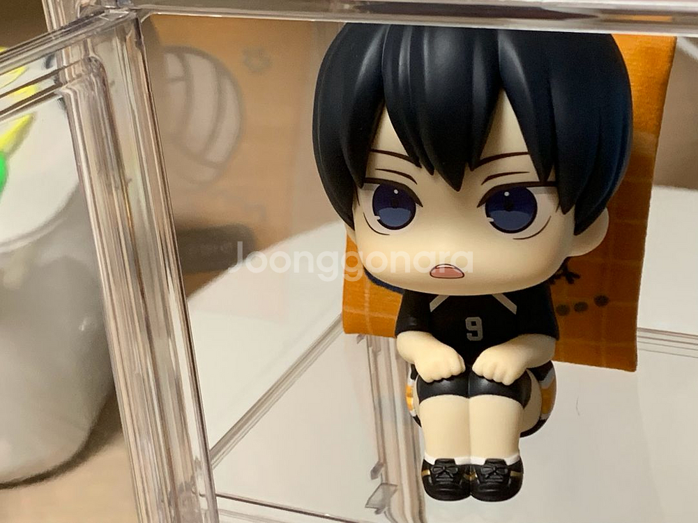 하이큐 카게야마 룩업 특전 방석 박스 없음--0