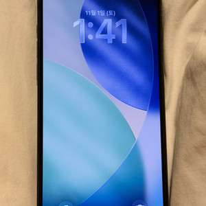 아이폰 13 pro max