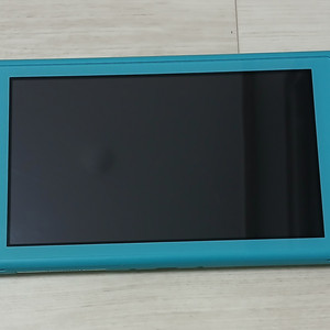 닌텐도 스위치 라이트 터콰이즈