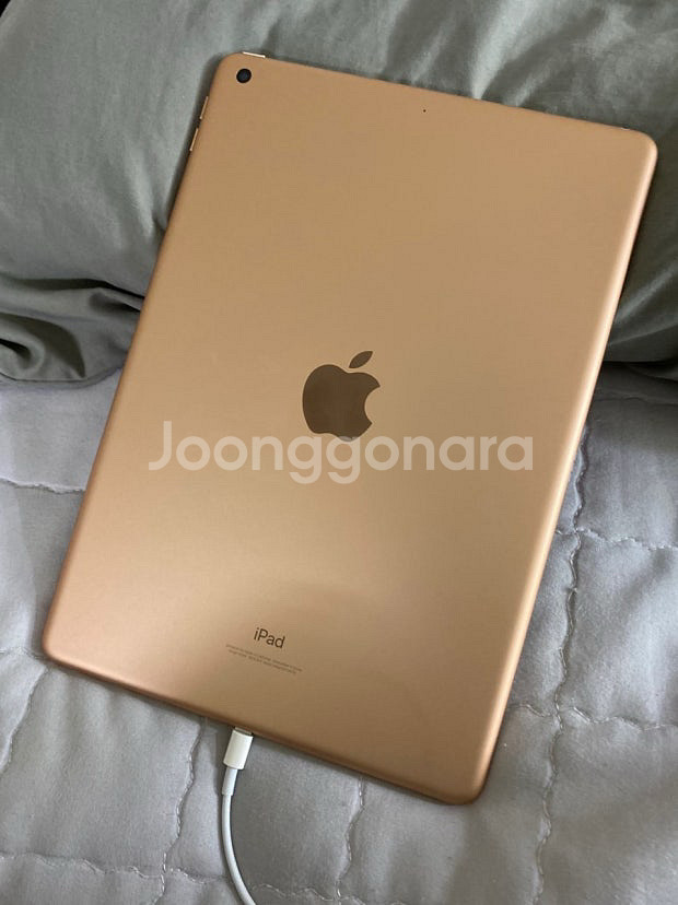 아이패드 7세대 골드 (애플펜슬 o)--0