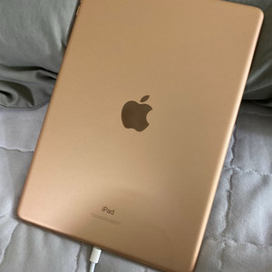아이패드 7세대 골드 (애플펜슬 o)