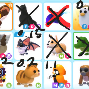 입양하세요 현거