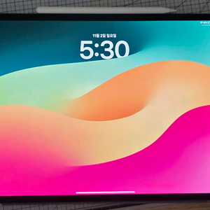 아이패드 M4 13 512G WIFI + 애플펜슬