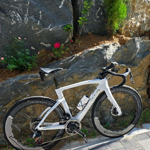 피나렐로 도그마F / 515