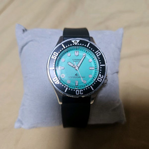 티파니 시티즌 미니 다이버