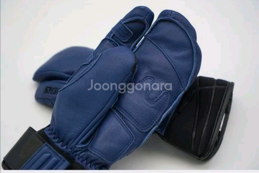 루디스 다운힐 스키장갑 S사이즈--1