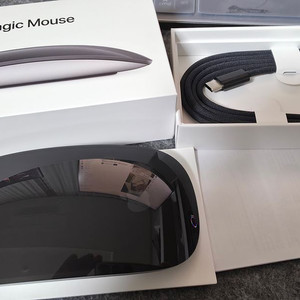 애플 매직 마우스 2세대