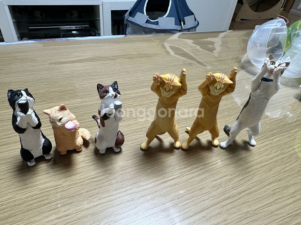 고양이 가챠 모음 6--0