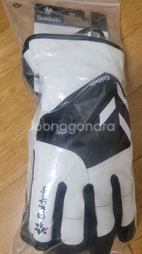 골드윈 스키장갑--0