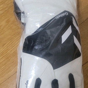 골드윈 스키장갑