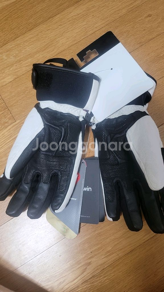 골드윈 스키장갑--1