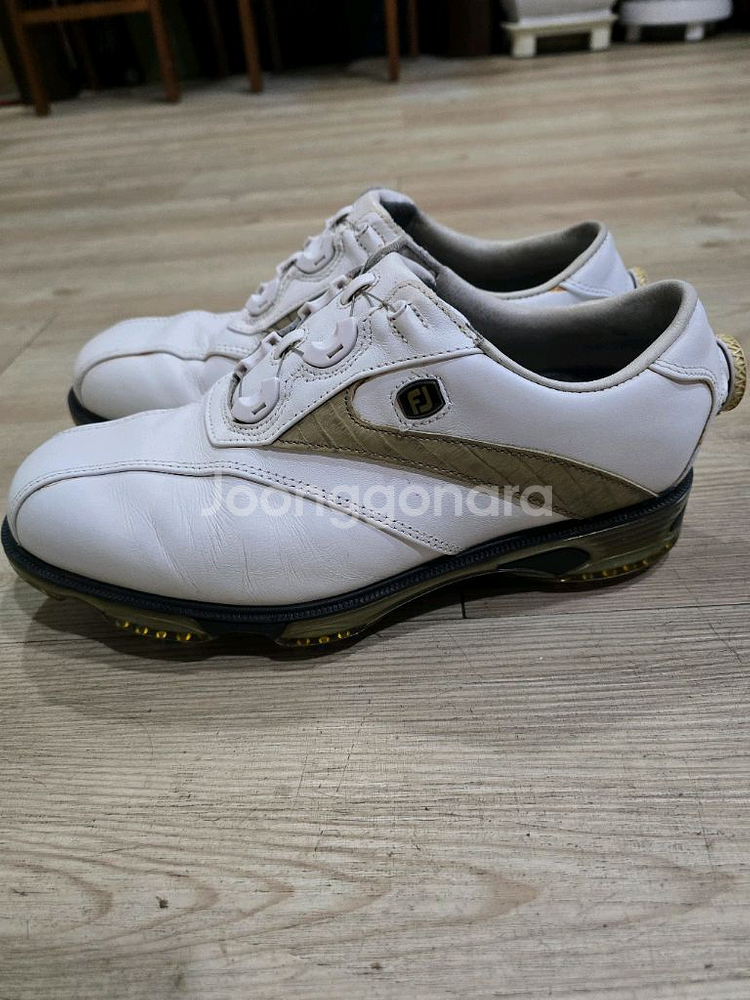 풋조이 골프 보아골프화 250w 260mm--0