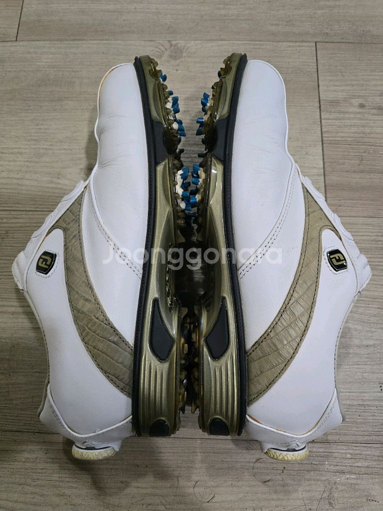 풋조이 골프 보아골프화 250w 260mm--4