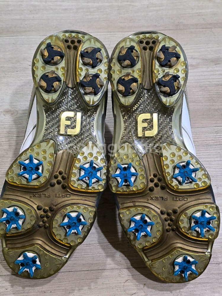 풋조이 골프 보아골프화 250w 260mm--6