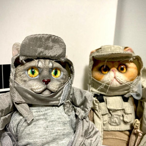 Mr.z 포켓 주토피아 고양이 도넛 누들 피규어