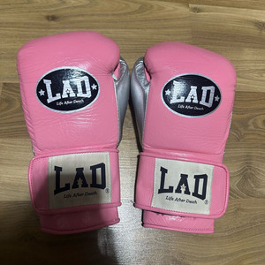 LAD 복싱글러브 10온스